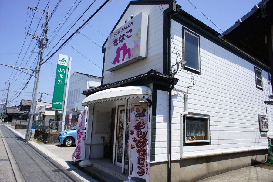ドッグサロン きなこ