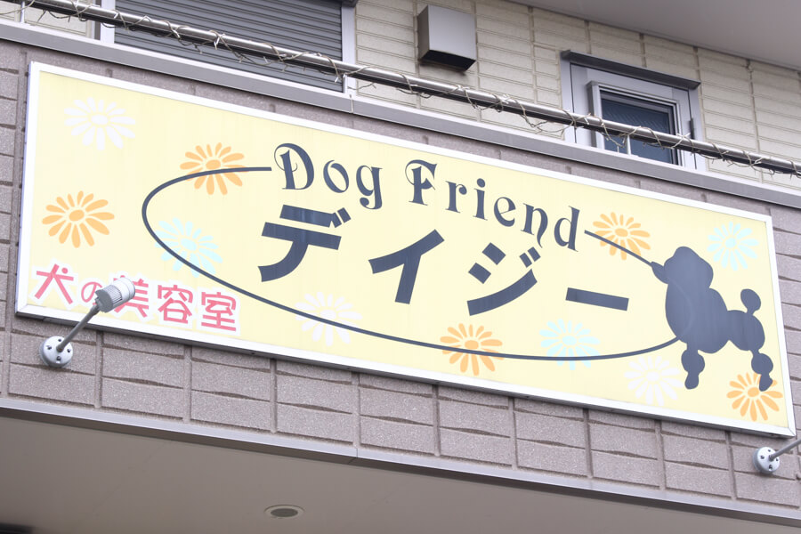 Dog Friend デイジー_2
