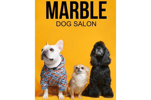 Dog Salon Marble_1