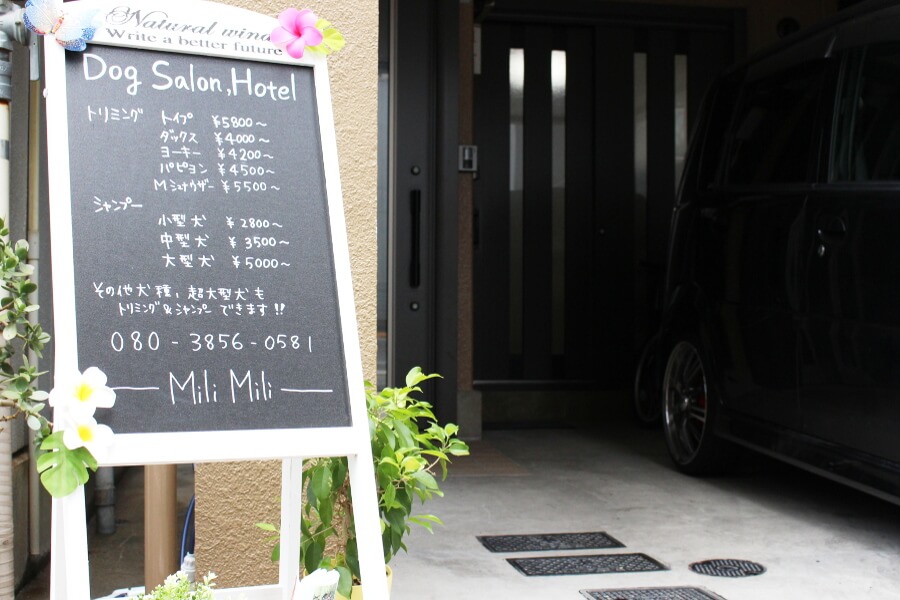 Dog Salon, Hotel Mili Mili