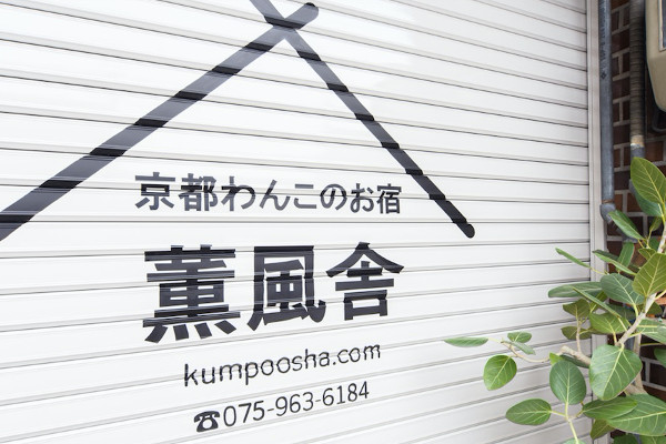 kumpoo shampoo