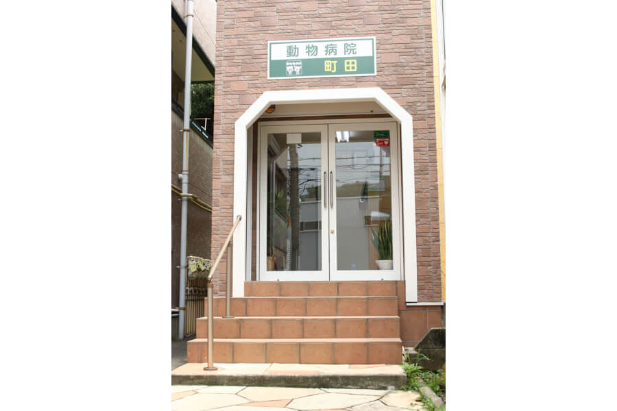 動物病院 町田（トリミング）