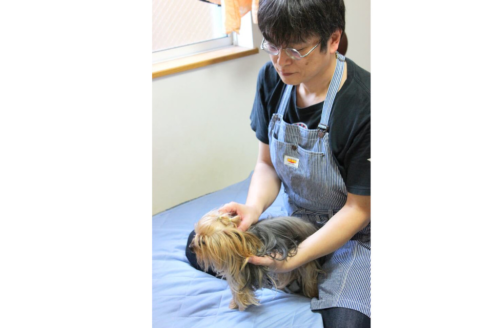 犬と、人と、_2