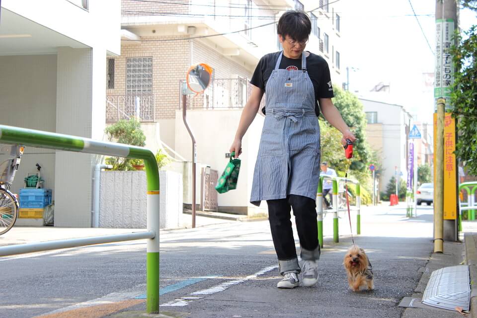 犬と、人と、