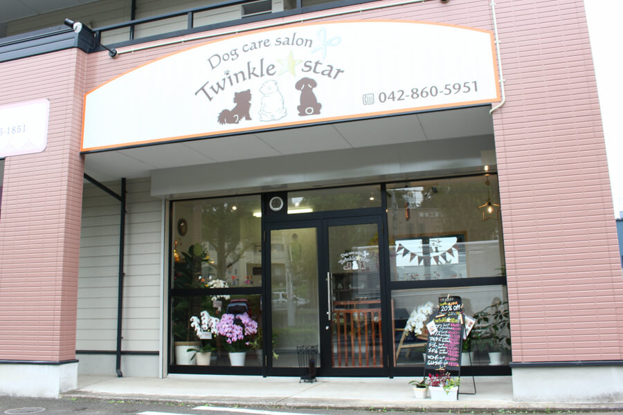 Twinkle star