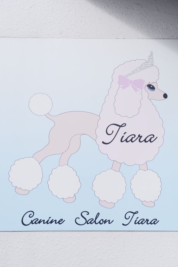 Canine Salon Tiara_2