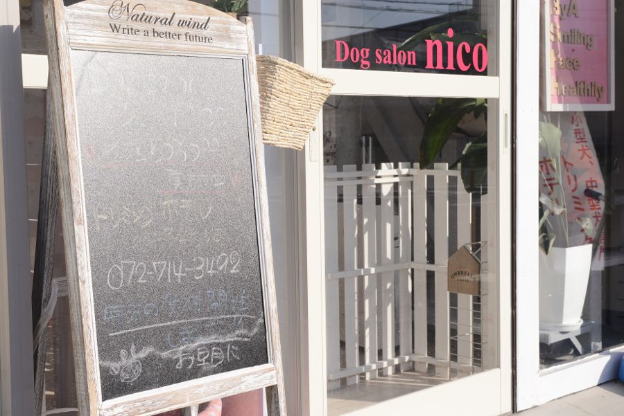 Dog salon nico_1