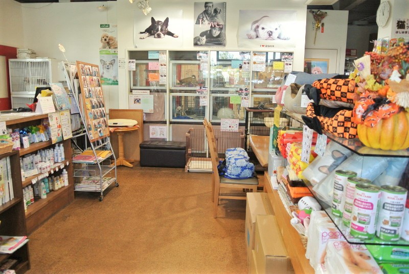 PET’S FAN_4