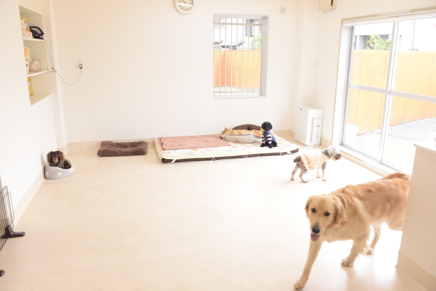 Dog care house Fun Fun_こだわり_3