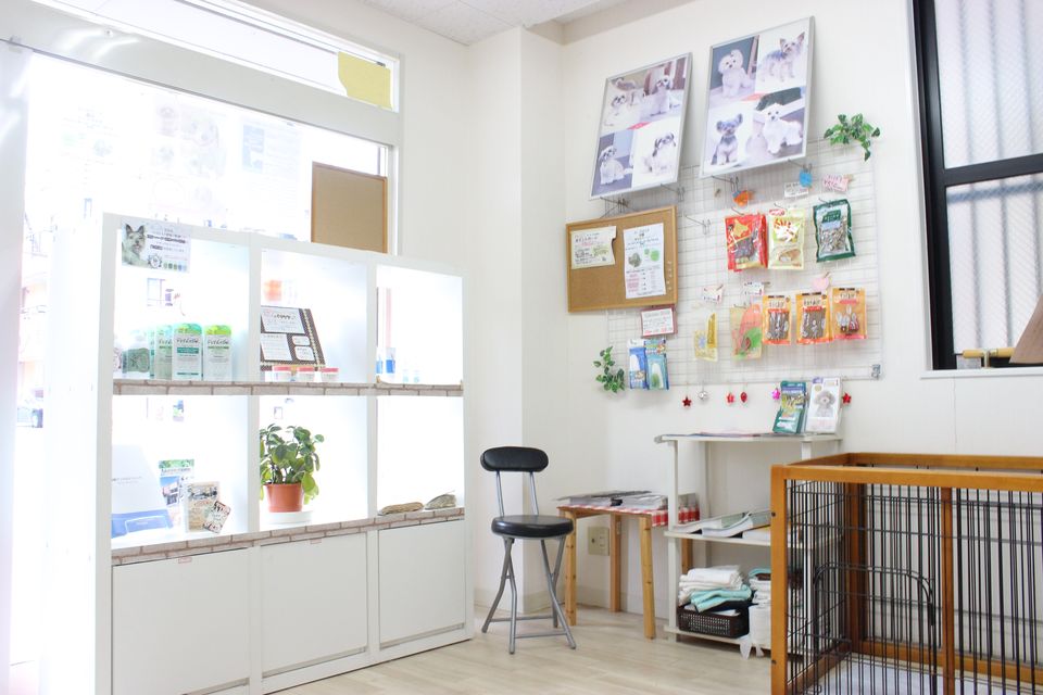 Dogking 中田店_3