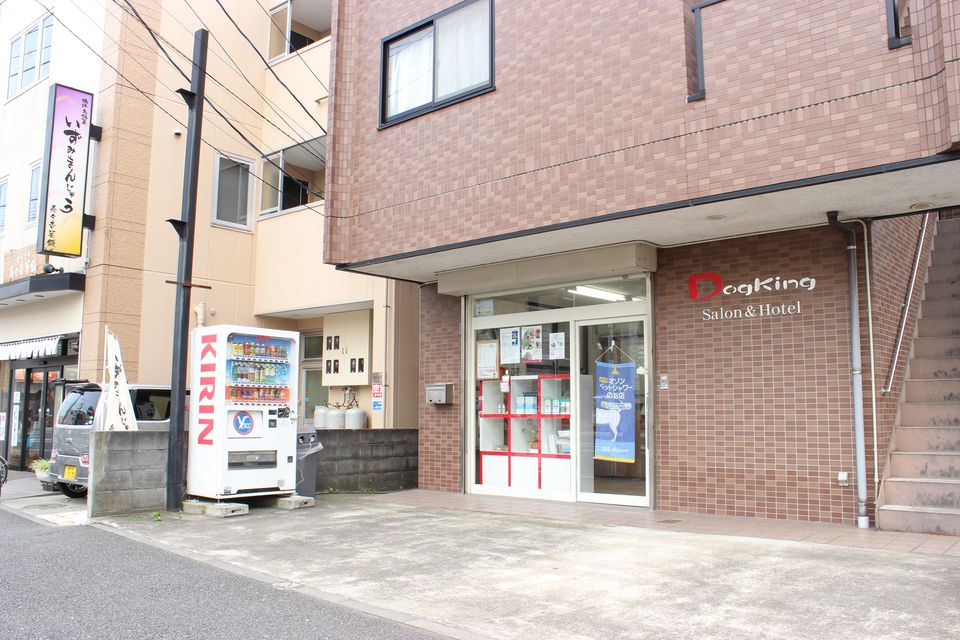 Dogking 中田店