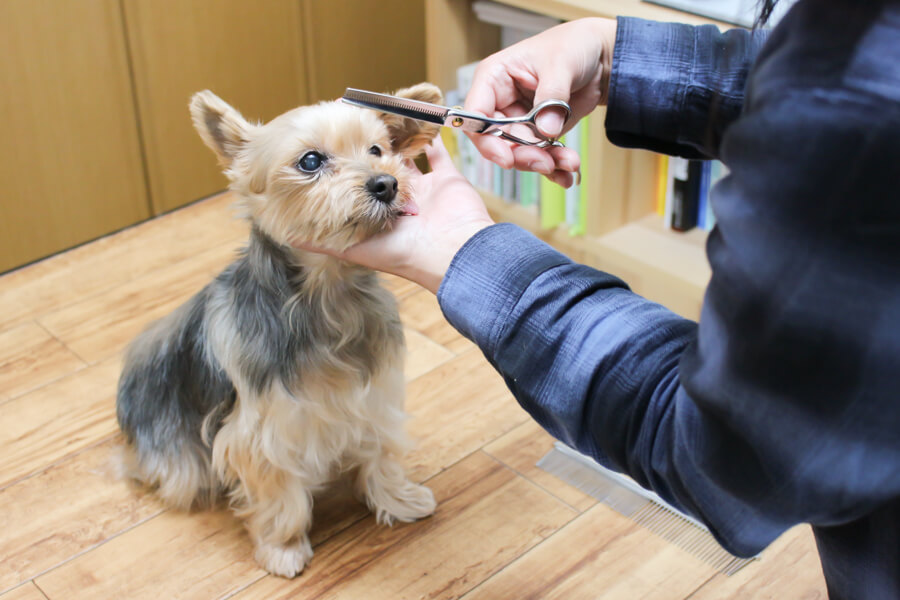 Grooming Room なかはち_こだわり_2