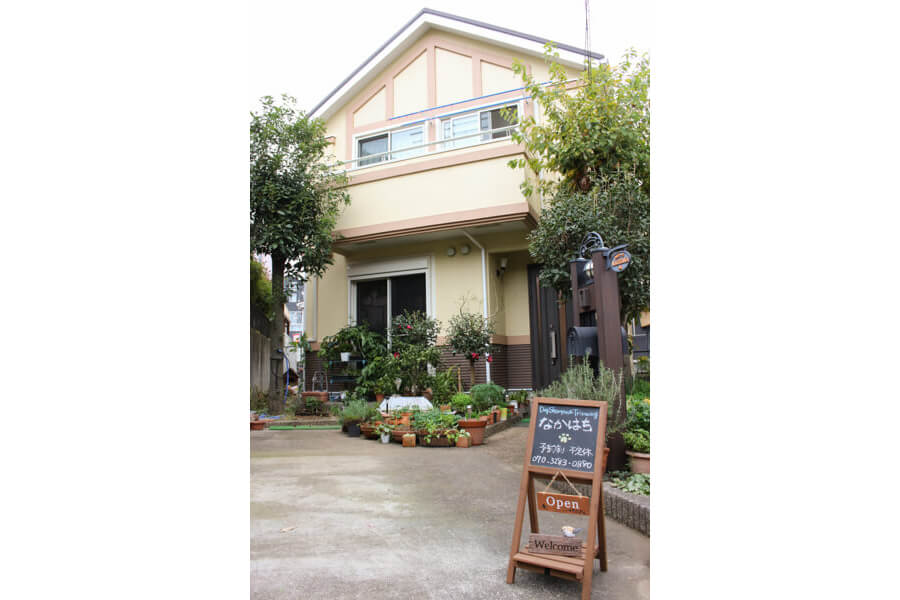 Grooming Room なかはち