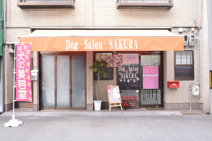 Dog Salon SAKURA