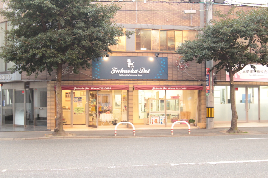 フクオカペット_1