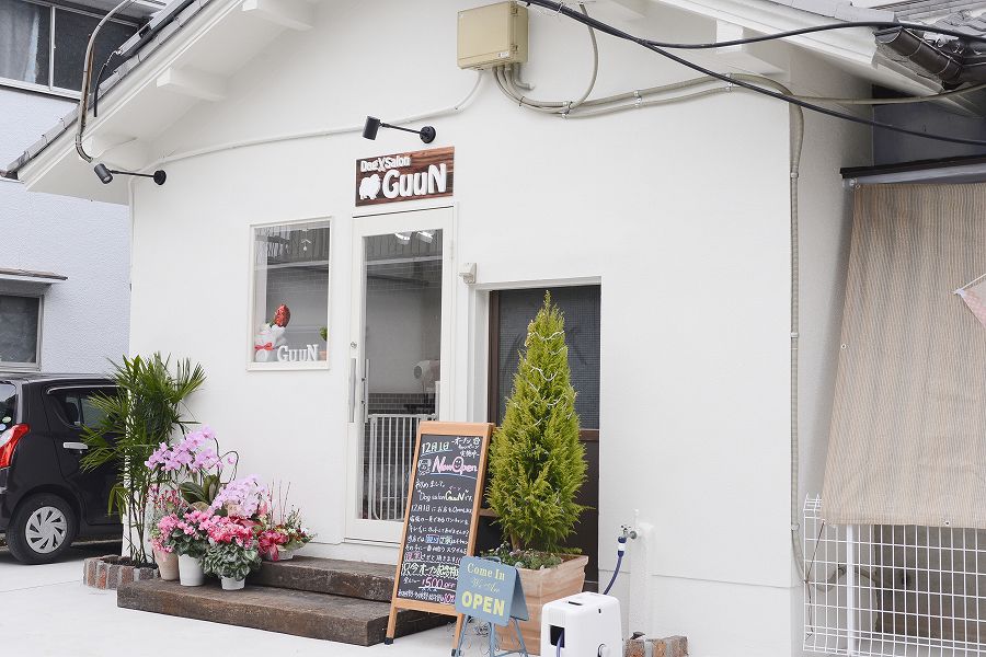 Dog Salon GuuN