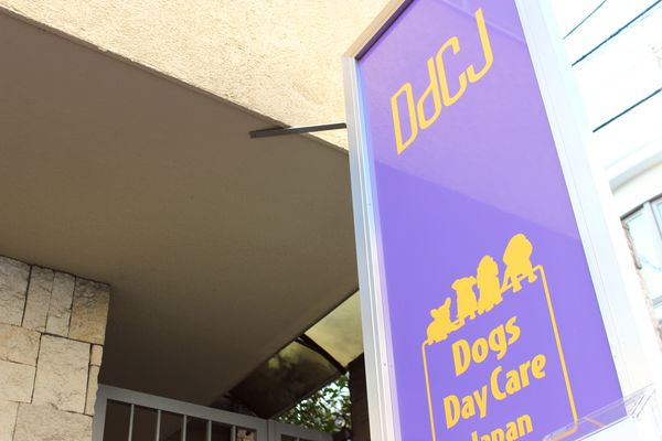 Dogs Day Care Japan ～犬の託児所～_2