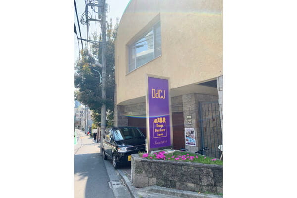 Dogs Day Care Japan ～犬の託児所～