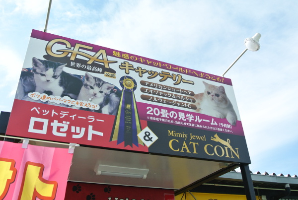 ネコ専門サロン CAT COIN