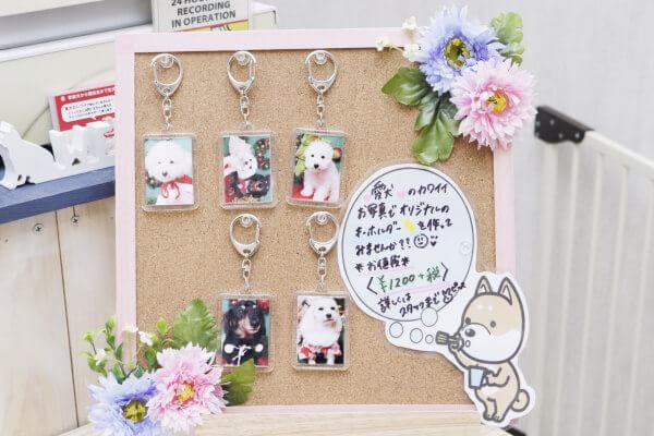 DogAmigo 竹の塚店