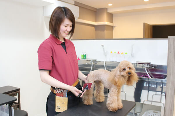 DOG HOTEL and SALON stella_こだわり_1