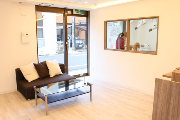 DOG HOTEL and SALON stella_3