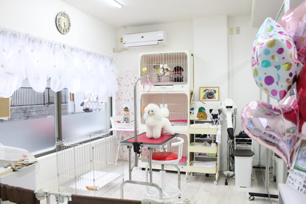 とりみんぐさろん TEDDY?POO_4