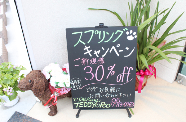 とりみんぐさろん TEDDY?POO_1