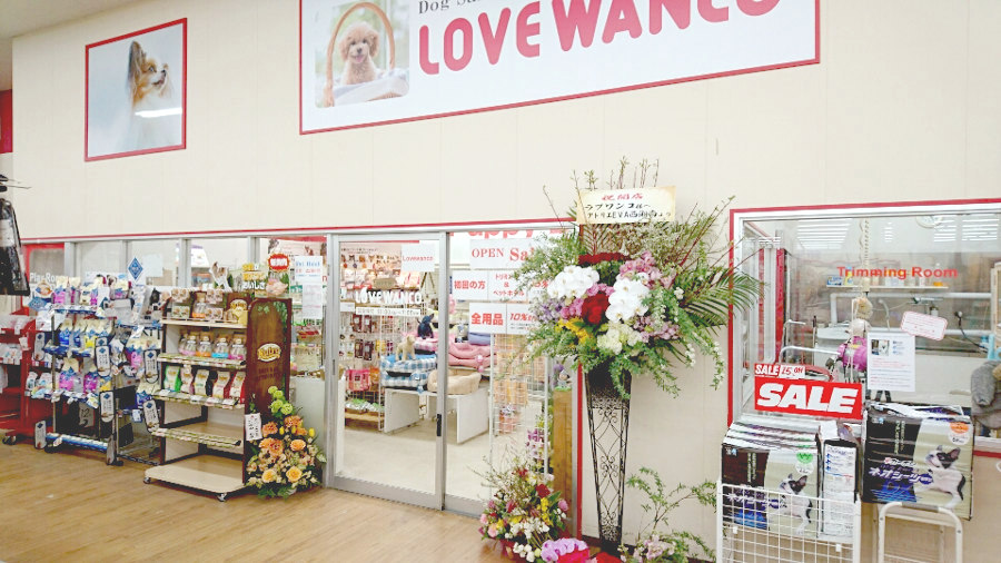 Lovewanco 平岸店