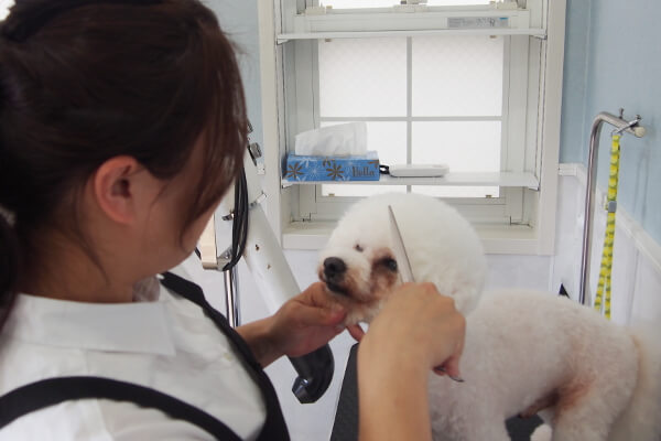犬飼さん家の犬の美容室_こだわり_1