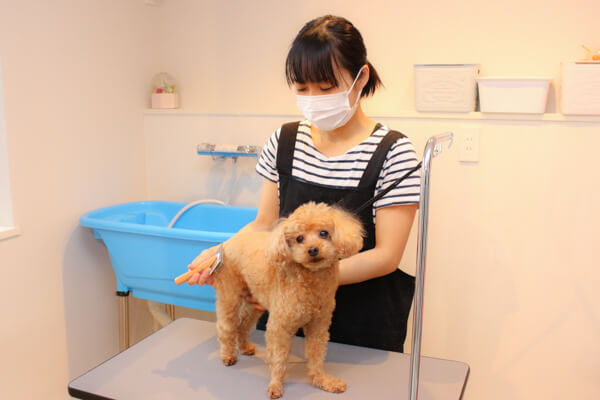 PETS_3