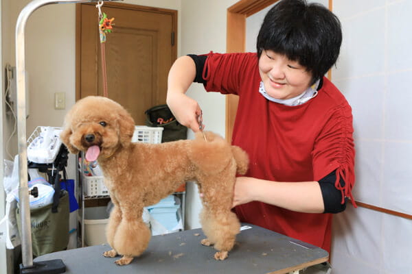 デイケア・トリミングサロン 仔友会_4