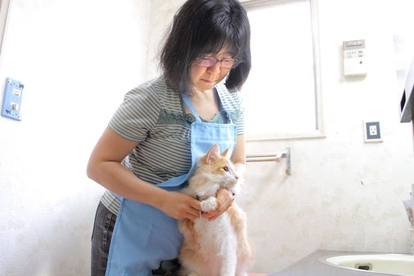CATSPAW