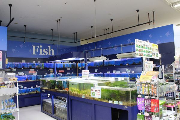 ネット予約可 ペッツワン草加松原団地店 草加市獨協大学前駅 小型犬 中型犬 大型犬 トリミングサロン 口コミ 評判 Epark