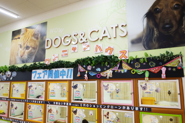 ワンニャンハウス蘇我店_1