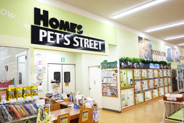 ワンニャンハウス蘇我店