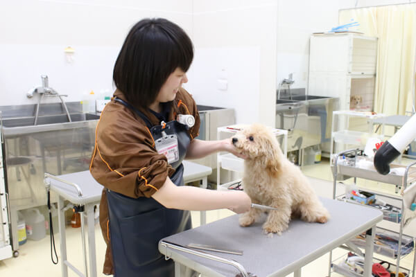 ペットアミ北上店(トリミング専用窓口)_こだわり_2
