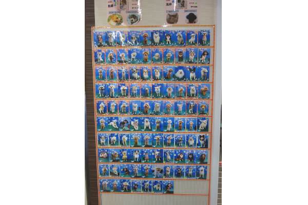 ワンニャンハウス幕張店_1