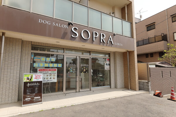 SOPRA GINZA 津田沼店