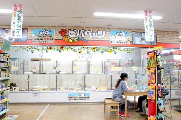 ワンニャンハウス ビーンズ赤羽店_2