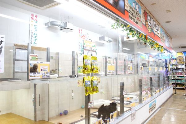 ワンニャンハウス ビーンズ赤羽店_3
