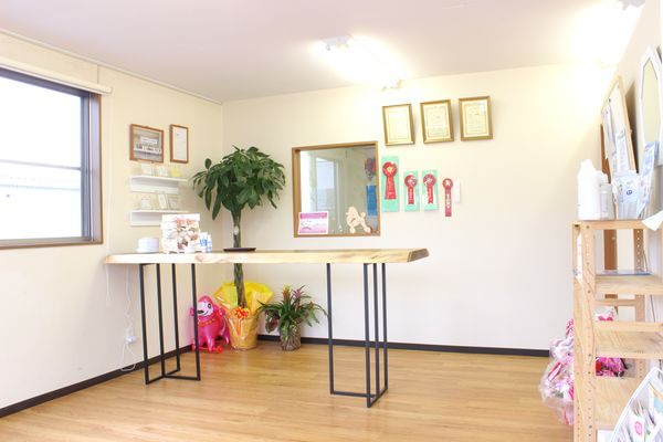 Trimming salon Lily’s won_3