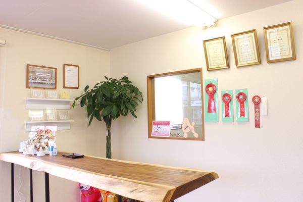 Trimming salon Lily’s won_4