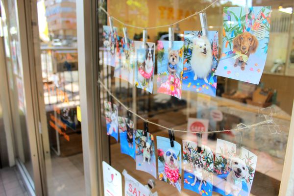 PET-SPA 関内店_1