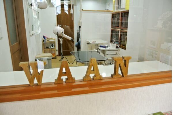 Dog salon WAAN/kobayashi_1