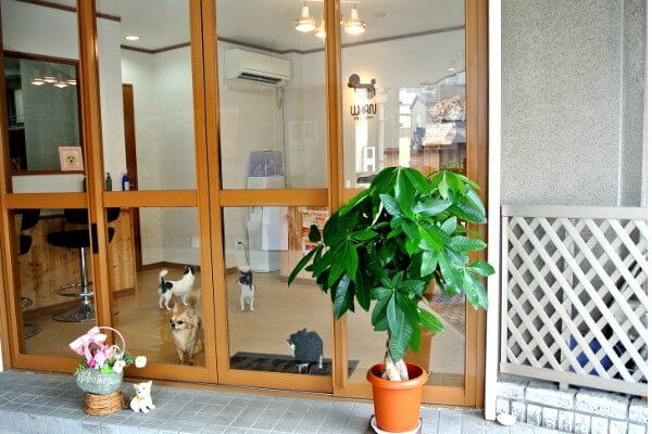 Dog salon WAAN/kobayashi_こだわり_1