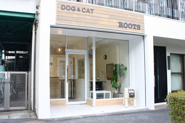 GROOMING SALON ROOTS