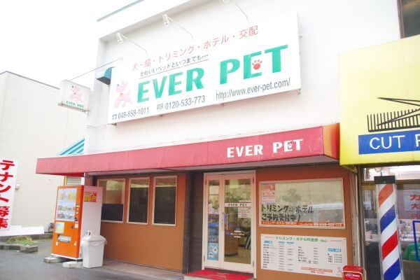 エバーペット本店