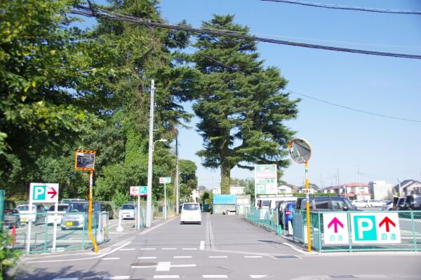 ペットアイランド浦和中尾店