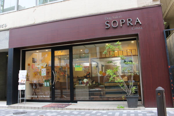 SOPRA GINZA 本店